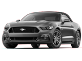 Mustang VI 2014-...